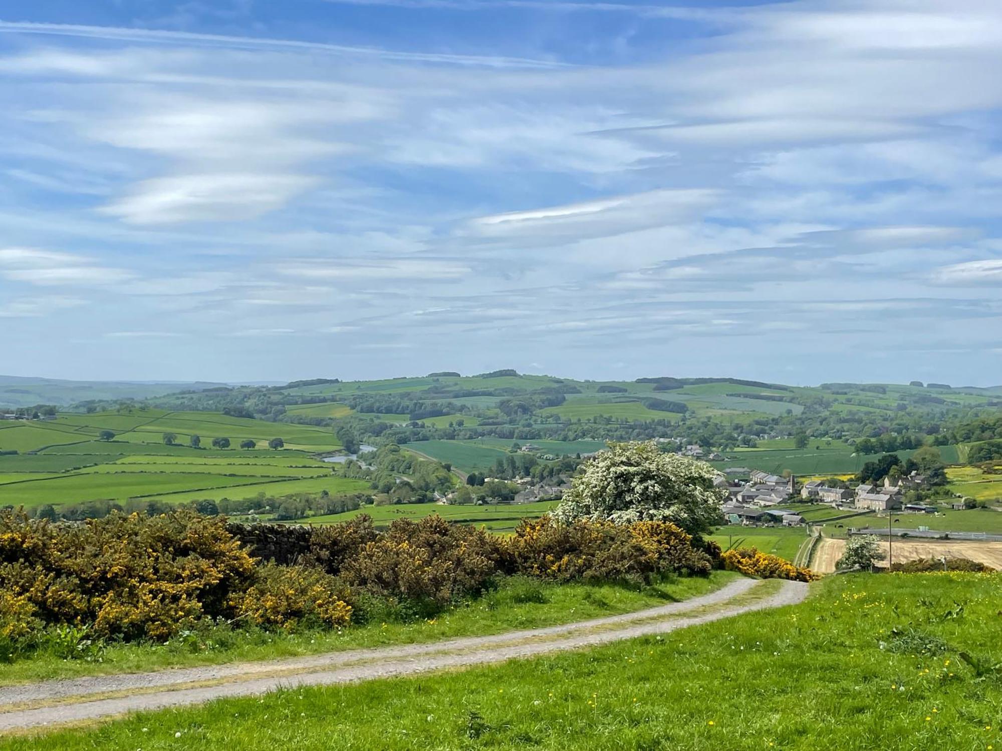 Stay On The Hill - Self Catered Cottages Laverick And Bothy Hexham Esterno foto